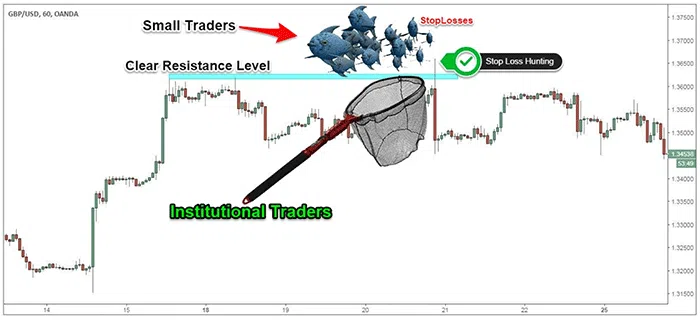 Forex Stop Hunt Strategy